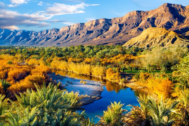 A serene desert oasis nestled among the rugged mountains of Morocco, showcasing lush greenery against a sandy backdrop.